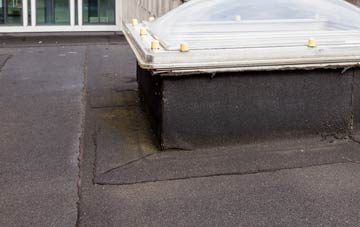 disadvantages of Port Appin flat roofs