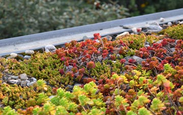 the cost of Port Appin green roof installation