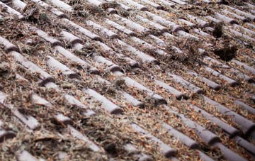 Port Appin roof cleaning companies